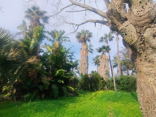  Parcelle à Hacienda Las Chapas