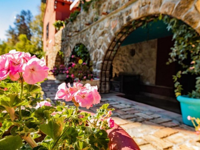 Commercial in Torremolinos