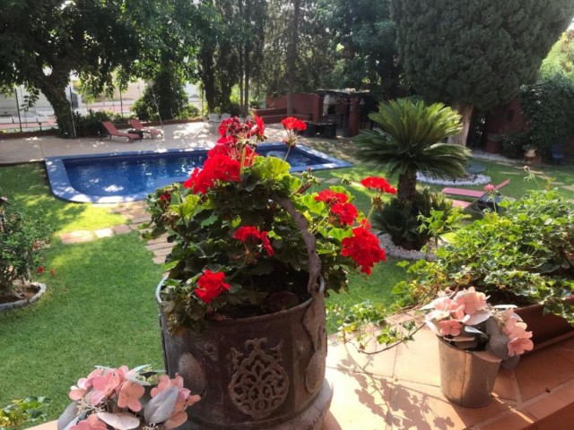 Commercial in Torremolinos