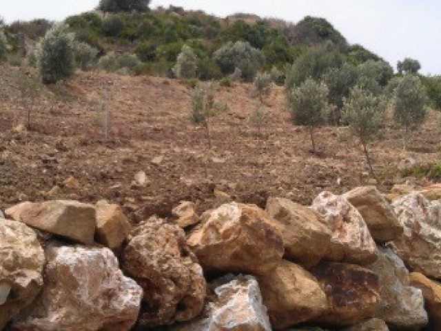  Plot in Estepona