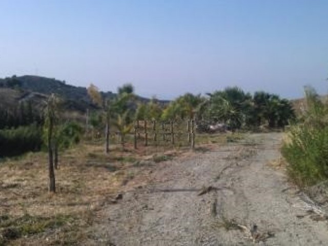 Plot in Estepona