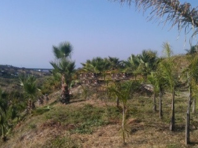  Plot in Estepona
