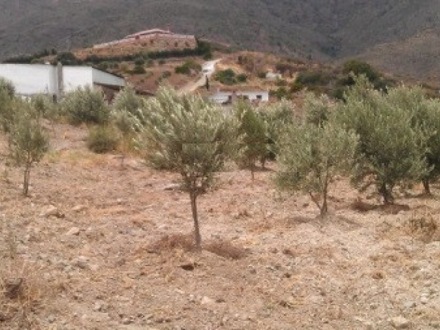 Plot Estepona - R2983151