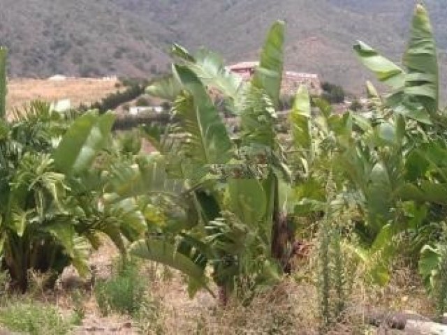  Plot in Estepona