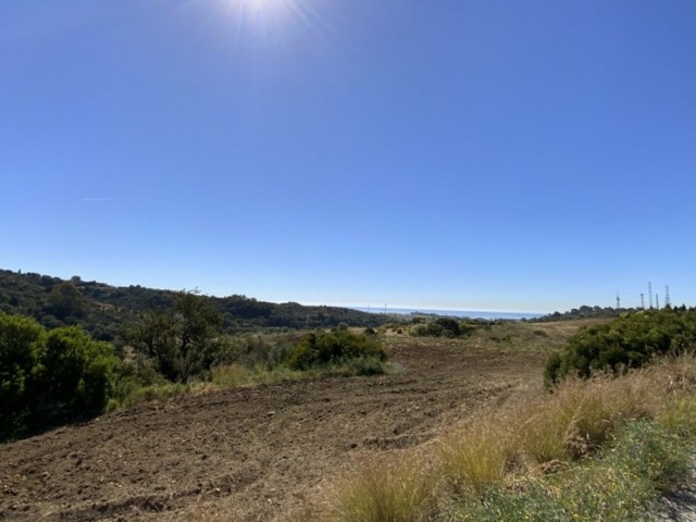 4 Bedrooms Villa in New Golden Mile