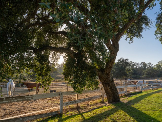 Perceel, San Roque Club, R5201941