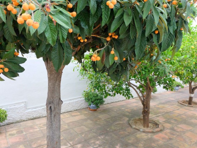 5 Bedrooms Villa in Mijas