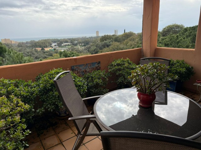 2 Bedrooms Apartment in Elviria
