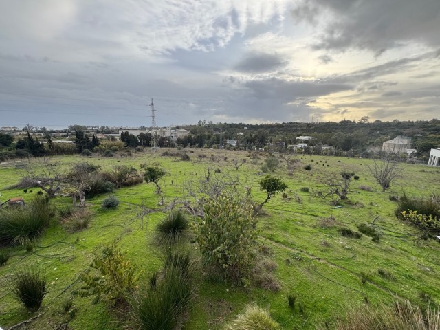 4 Soveroms Villa i Estepona