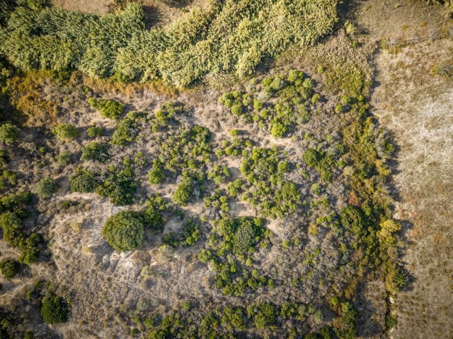 2 Makuuhuoneen Huvila Manilva