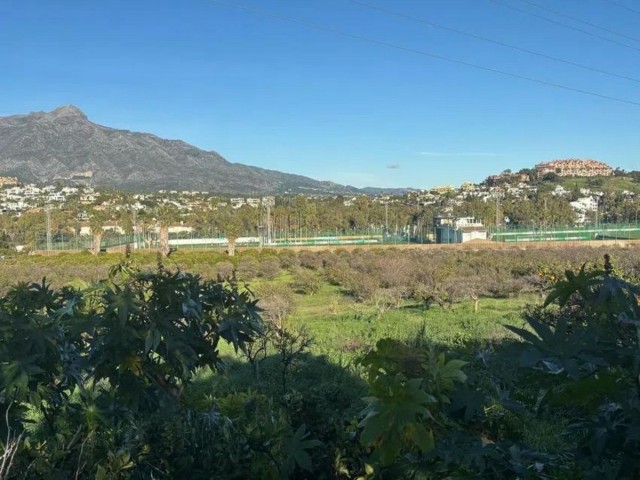 Plot, San Pedro de Alcántara, R5308000