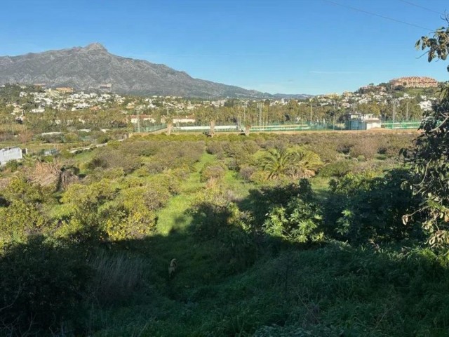 Plot, San Pedro de Alcántara, R5308000