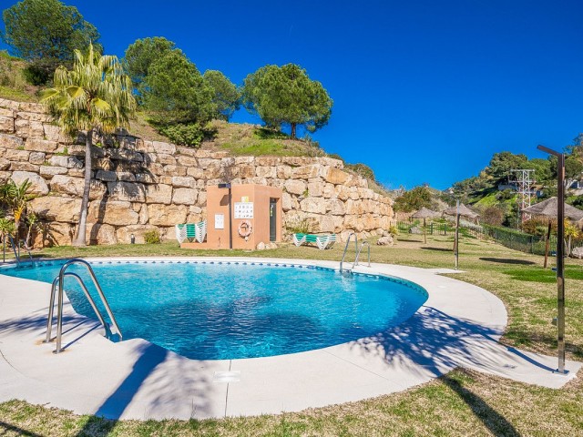 Penthouse in Elviria