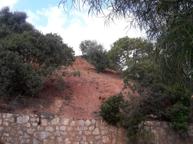 Perceel, Las Chapas, R5311849