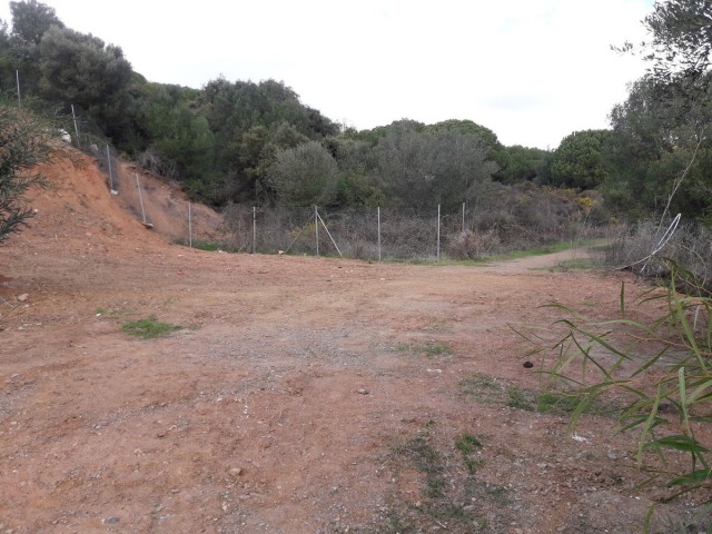 Grundstück, Las Chapas, R5311849