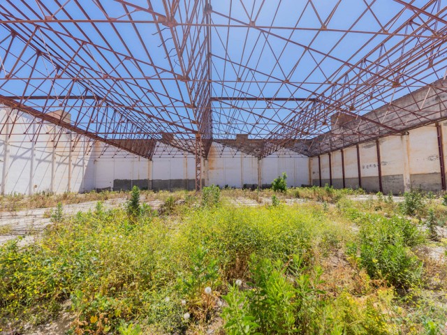 Kommerziell in La Colina