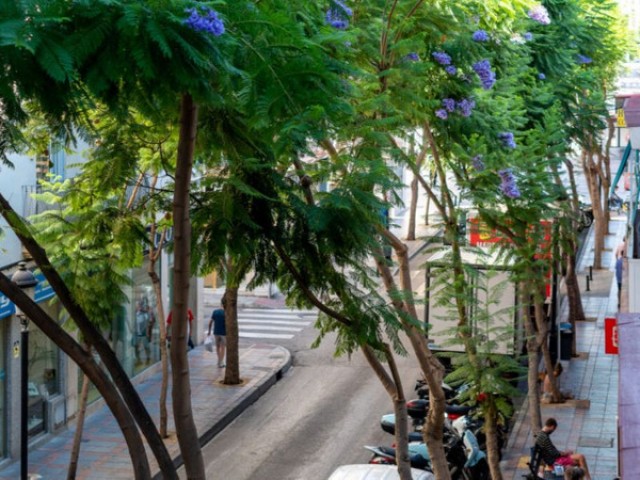 3 Bedrooms Apartment in Los Boliches