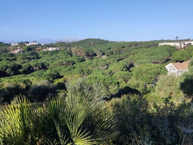  Grundstück in Sotogrande