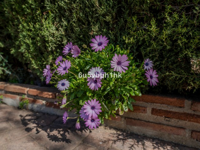 4 Schlafzimmer Reihenhaus in Entrerrios