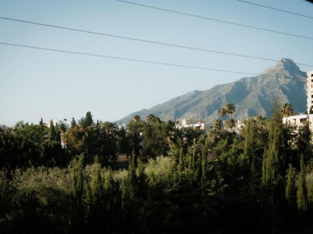 Commercial in Nueva Andalucía