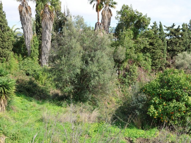 Grundstück in Mijas