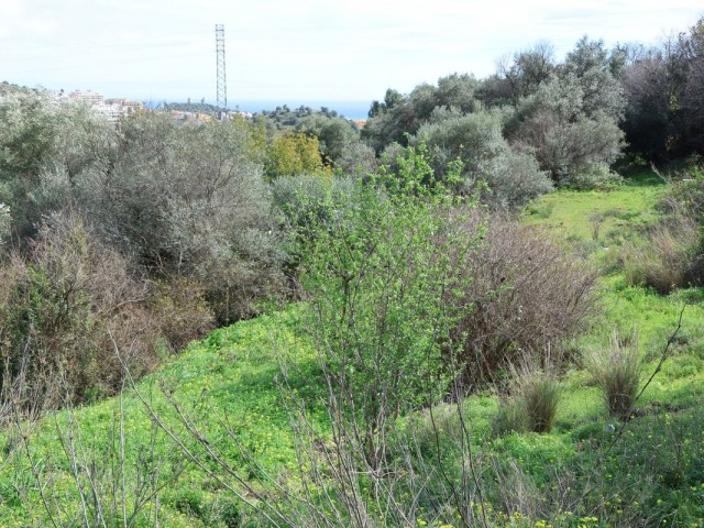 Grundstück in Mijas