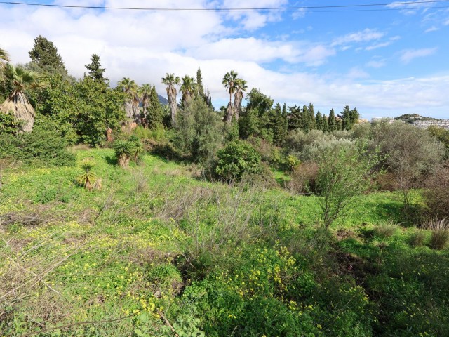  Grundstück in Mijas