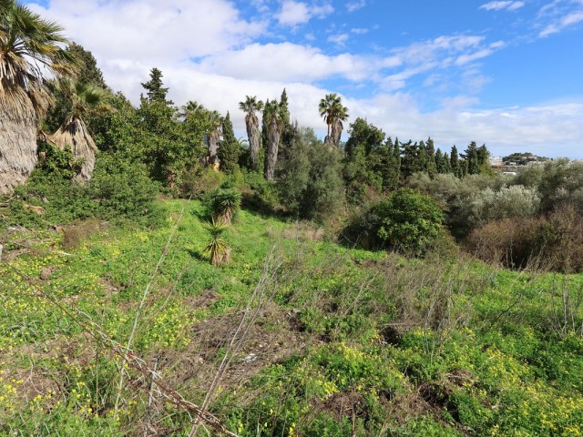  Plot in Mijas