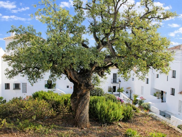 Appartement avec 2 Chambres  à Altos de los Monteros