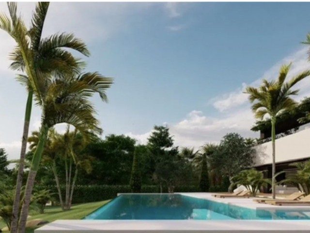  Perceel in El Rosario