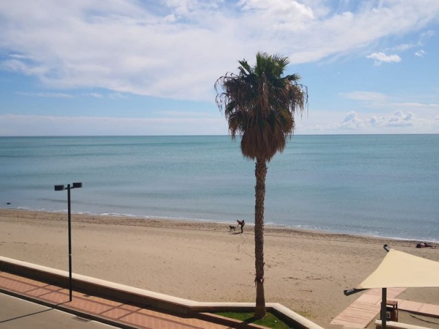Apartment, Carvajal, R5325106