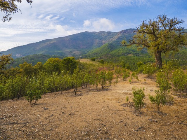 Grundstück, La Zagaleta, R5329867