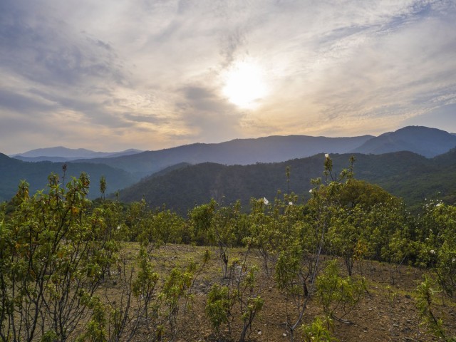  Grundstück in La Zagaleta