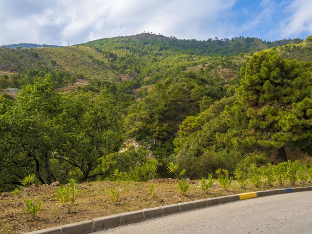  Grundstück in La Zagaleta