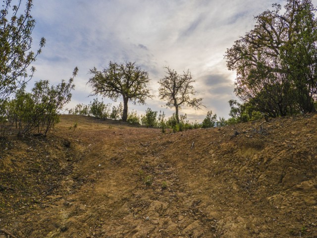  Parcelle à La Zagaleta