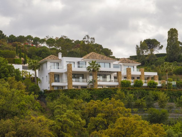  Parcelle à La Zagaleta