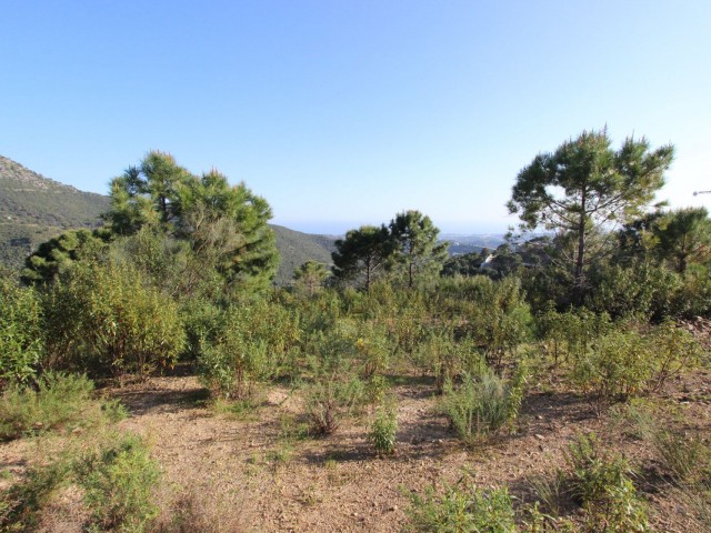 Grundstück, Benahavis