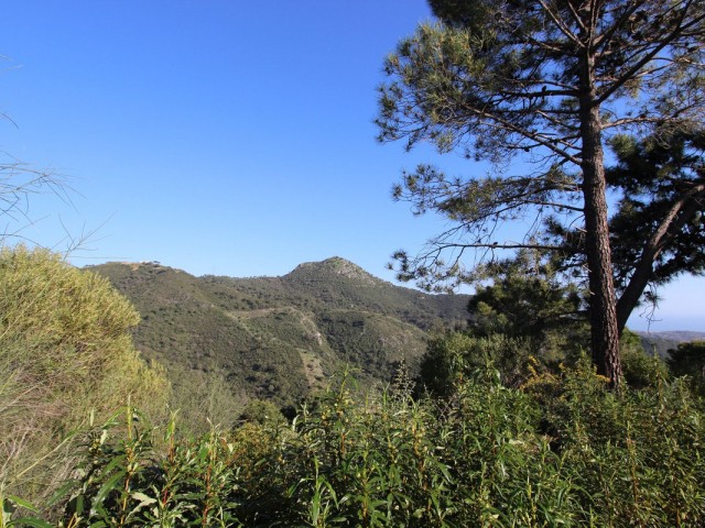  Grundstück in Benahavís