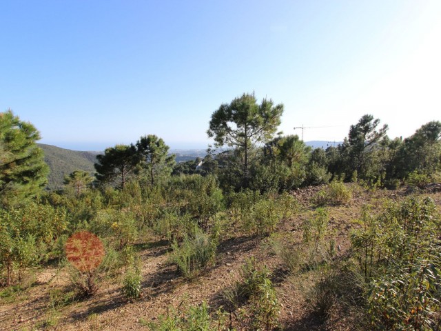  Grundstück in Benahavís