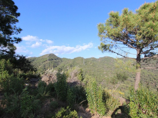  Grundstück in Benahavís