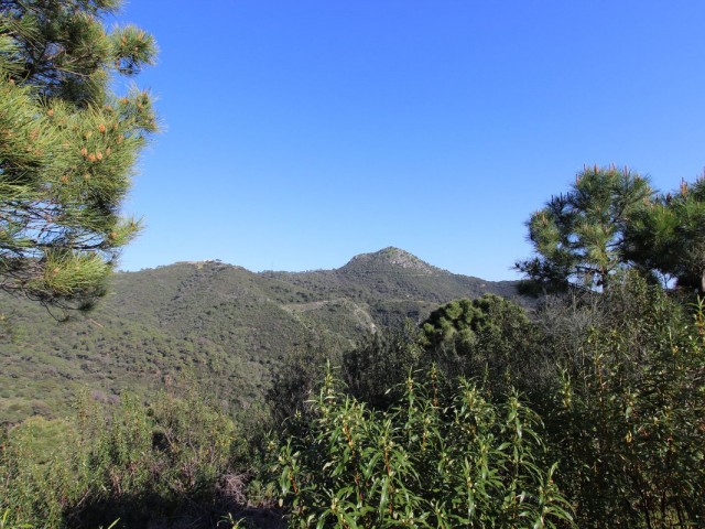  Grundstück in Benahavís