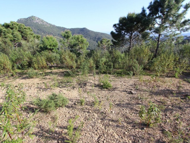  Grundstück in Benahavís