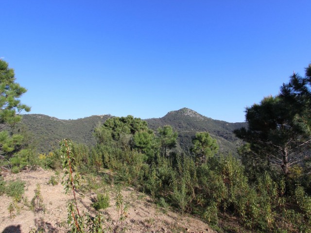  Grundstück in Benahavís