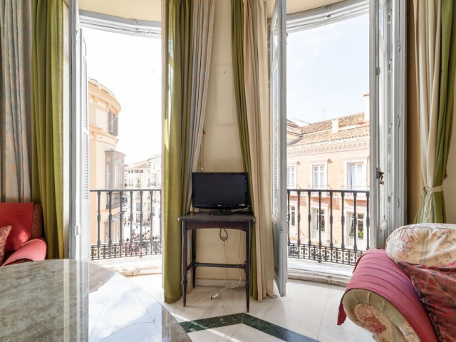 1 Schlafzimmer Apartment in Málaga Centro
