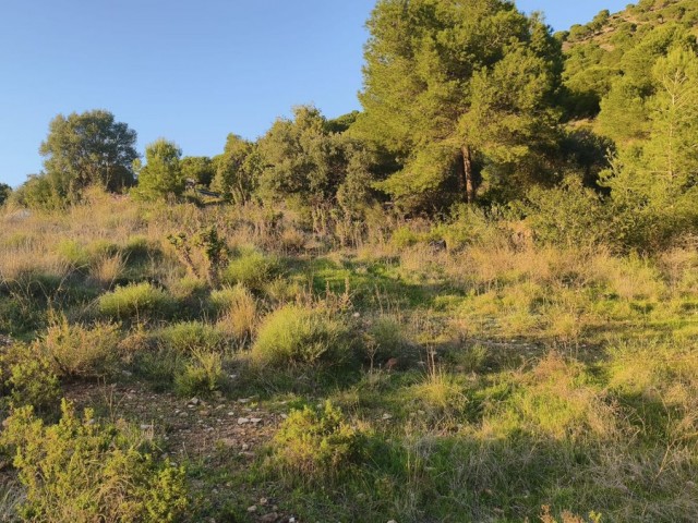  Plot in Mijas