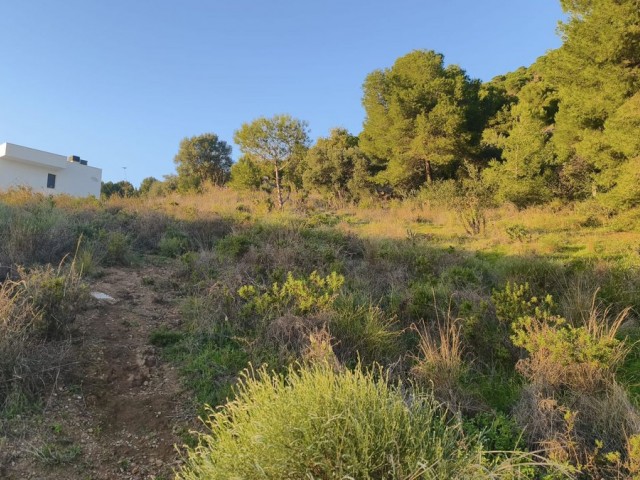  Plot in Mijas