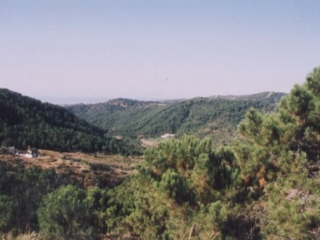 5 Slaapkamer Villa in Estepona