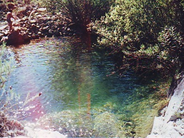 5 Slaapkamer Villa in Estepona