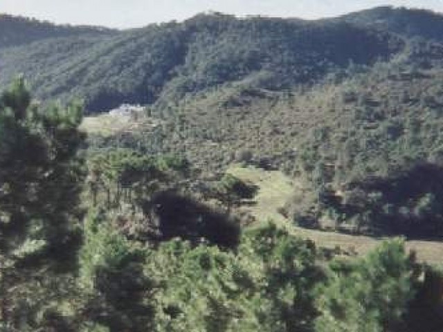 5 Slaapkamer Villa in Estepona