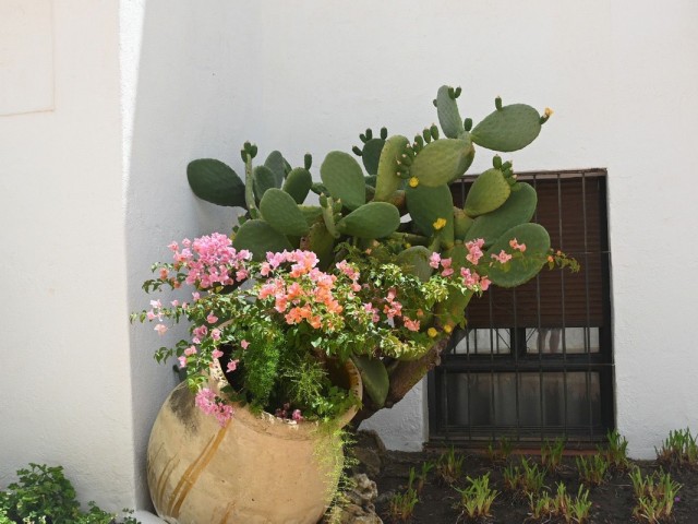 2 Schlafzimmer Apartment in Nueva Andalucía